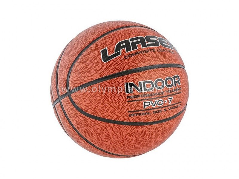 Мяч баскетбольный Larsen PVC-7 ECE