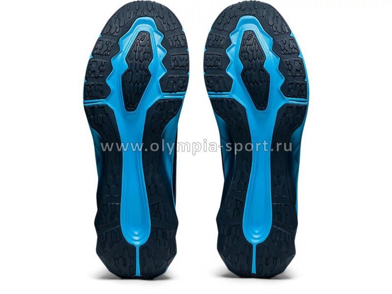 Обувь спортивная Asics NOVABLAST 1011A681