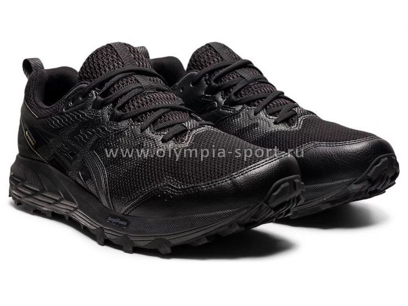 Обувь спортивная Asics Gel-Sonoma 6 G-TX 1011B048