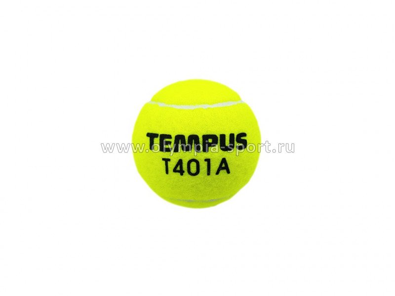 Мяч б/т Tempus арт.Т401А (1 шт.)