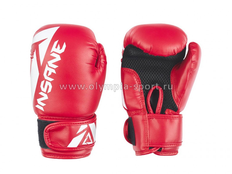 Перчатки боксерские INSANE MARS IN22-BG100, ПУ