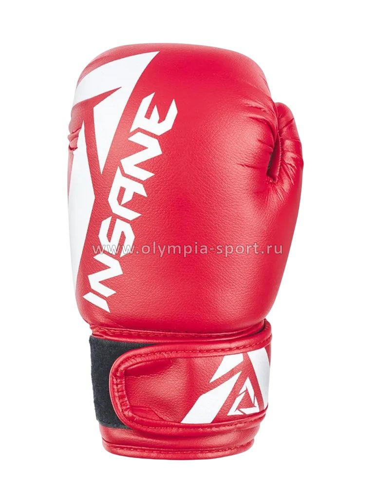 Перчатки боксерские INSANE MARS IN22-BG100, ПУ