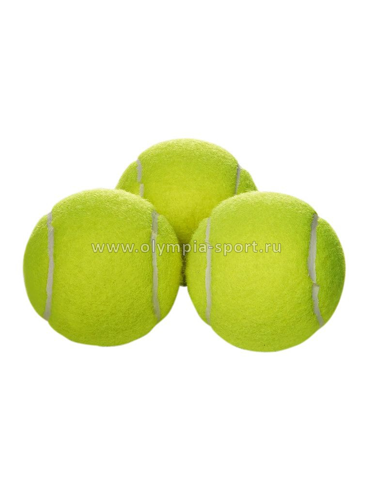 Мяч для большого тенниса Wish Champion Speed 610 (3 шт.)
