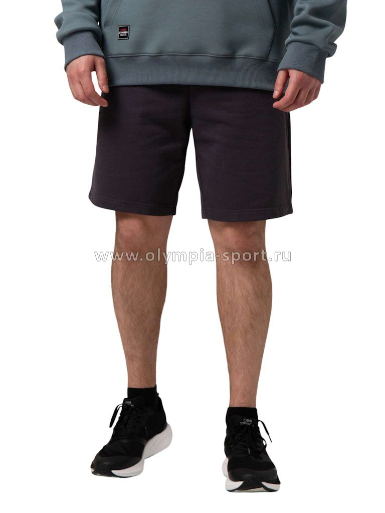 Шорты мужские Strobbs E2477-1 серый