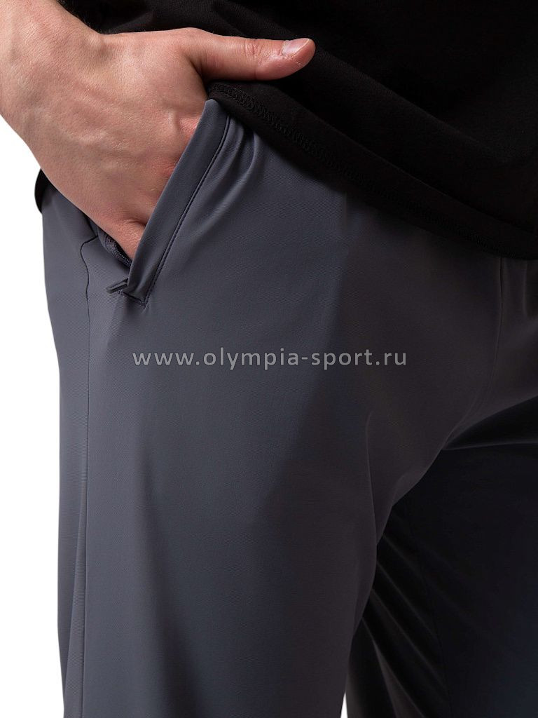 Брюки мужские Strobbs E2430-1 серый