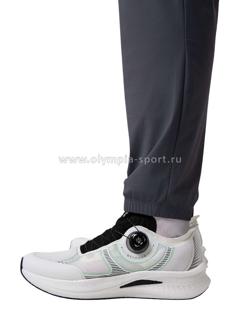 Брюки мужские Strobbs E2430-1 серый