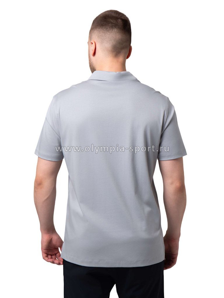 Рубашка-поло мужская Strobbs E2496-4 серый