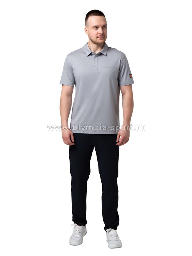 Рубашка-поло мужская Strobbs E2496-4 серый