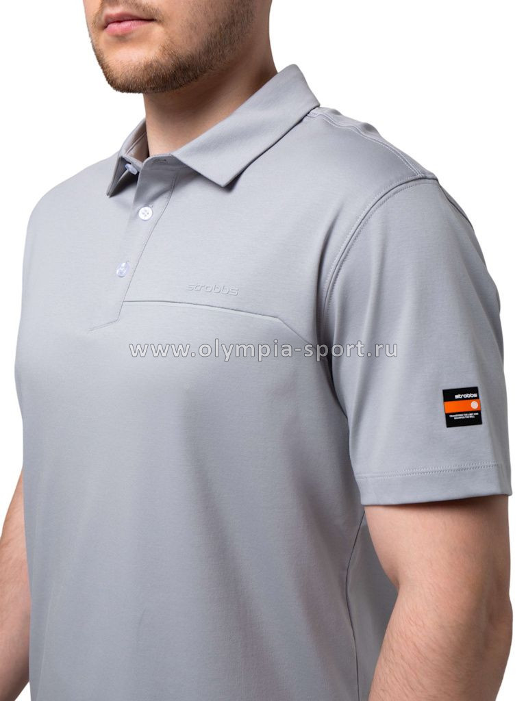 Рубашка-поло мужская Strobbs E2496-4 серый