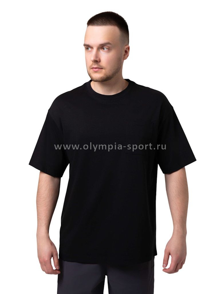 Футболка мужская Strobbs E2497-3 черный