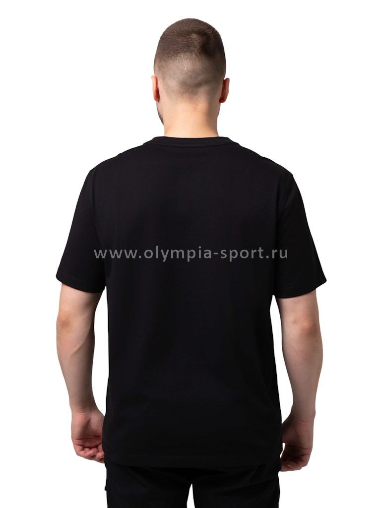 Футболка мужская Strobbs E2517-3 черный