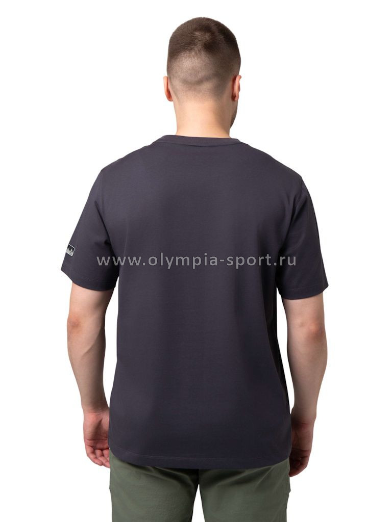 Футболка мужская Strobbs E2517-1 серый