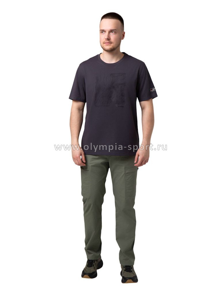 Футболка мужская Strobbs E2517-1 серый