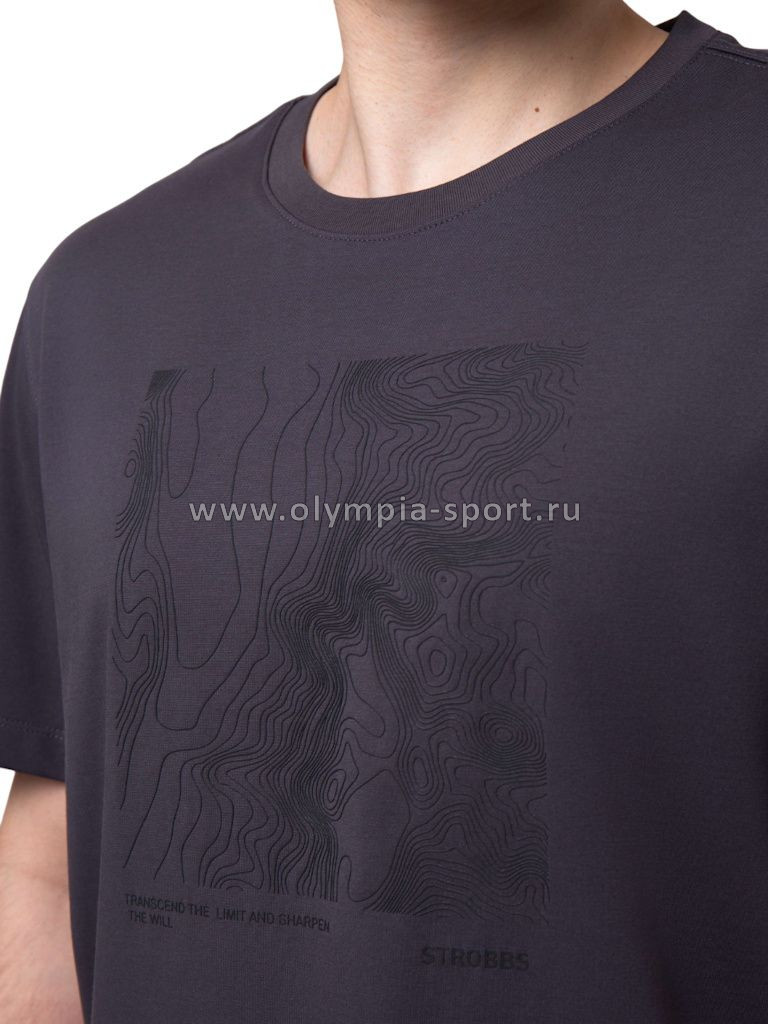 Футболка мужская Strobbs E2517-1 серый